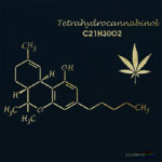 THC 
      Structural Formula Stencil