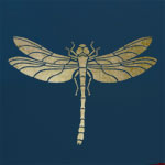 Dragonfly Stencil ST9